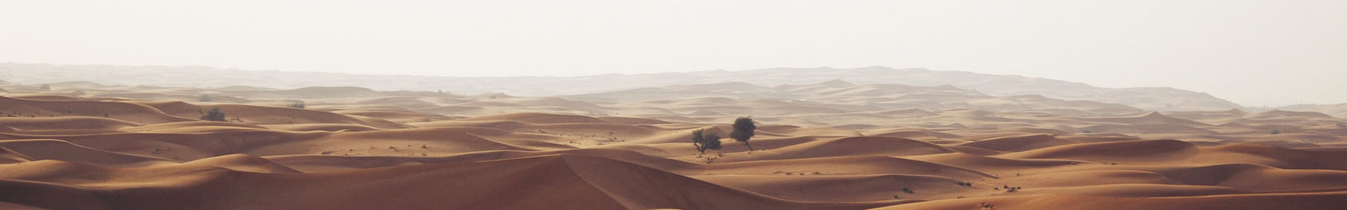 ൺ໯޹˾